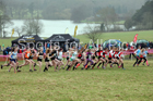 Girls under-15s, 2018 Northern Cross Country Champs., Harewood House, Leeds. Photo: David T. Hewitson/Sports for All Pics